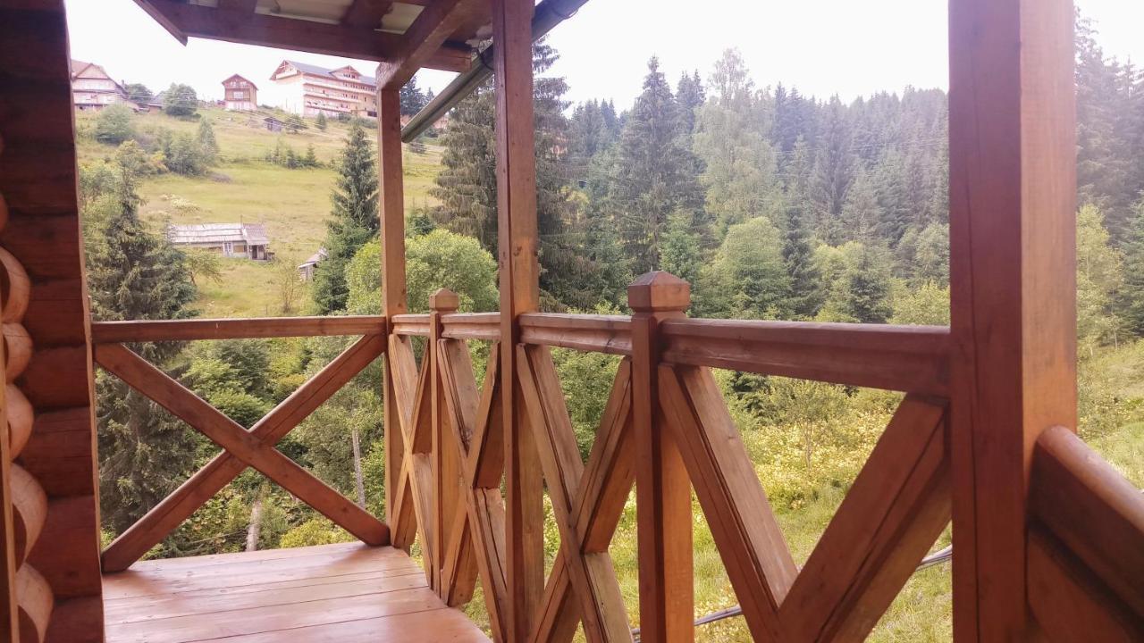 "Лісова Ягода" Yablunytsya Bagian luar foto